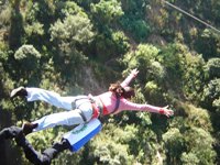 Bungee